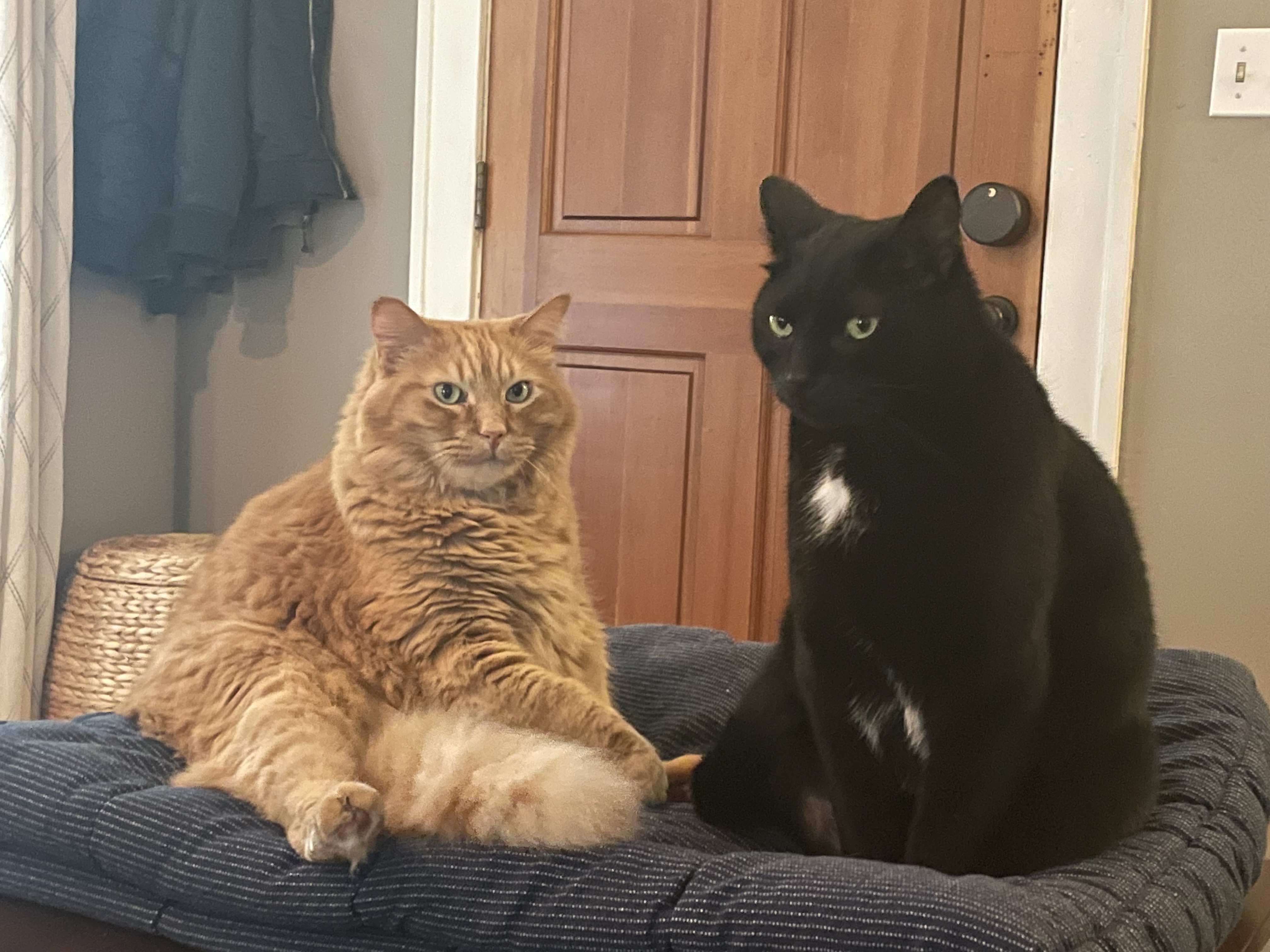 Ron & Harry Rydzewski